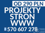 Stwórz swoją stronę internetową za jedyne 290 PLN