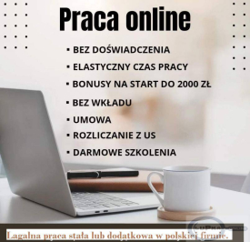 Praca stała lub dodatkowa zdalna, w domu, przez internet