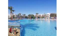 Egipt / HURGHADA / Hotel Desert Rose Resort / POCAŁUNEK WIELBŁĄDA